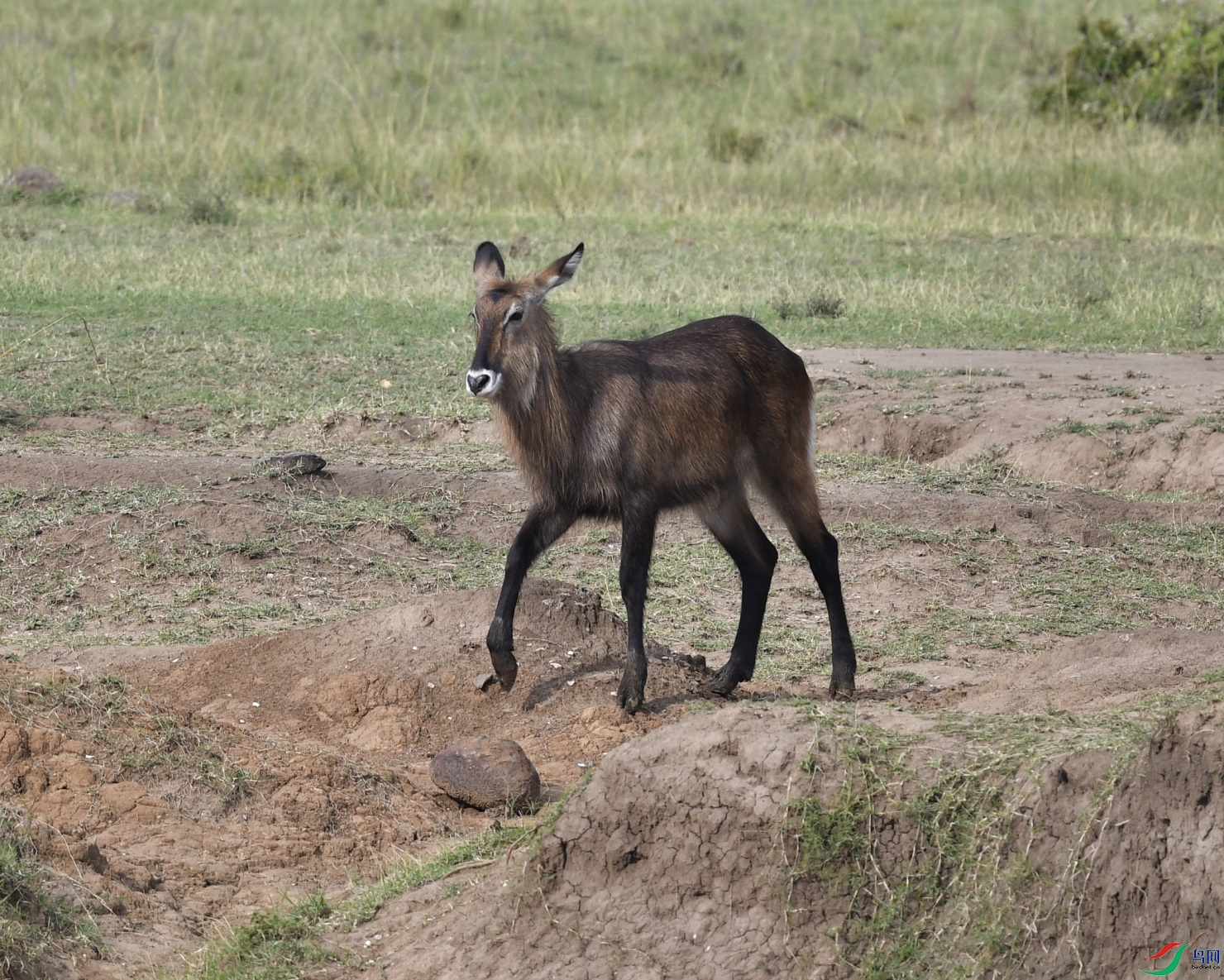 _DSC2665_01_01.JPG
