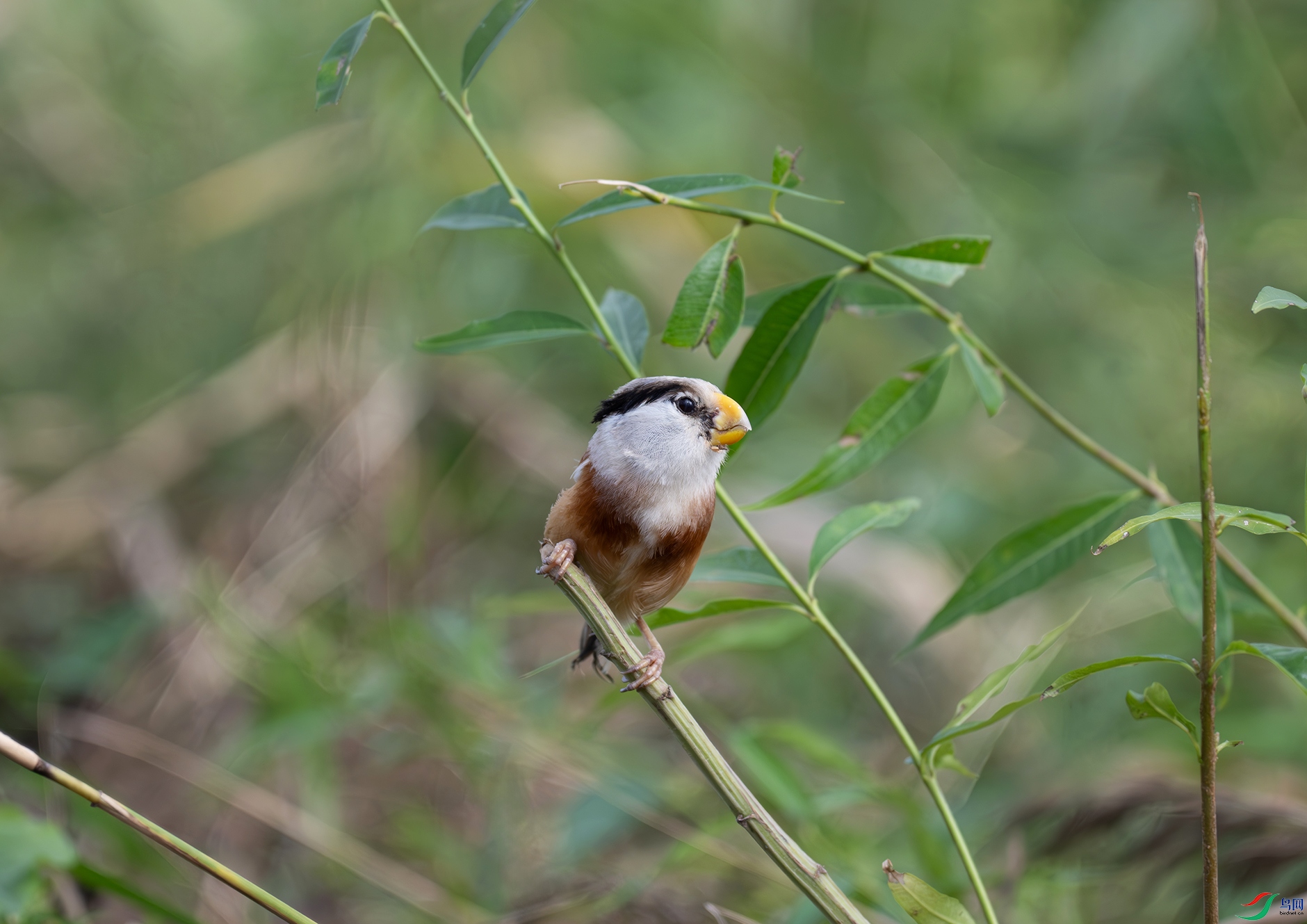 _DSC7796d.jpg