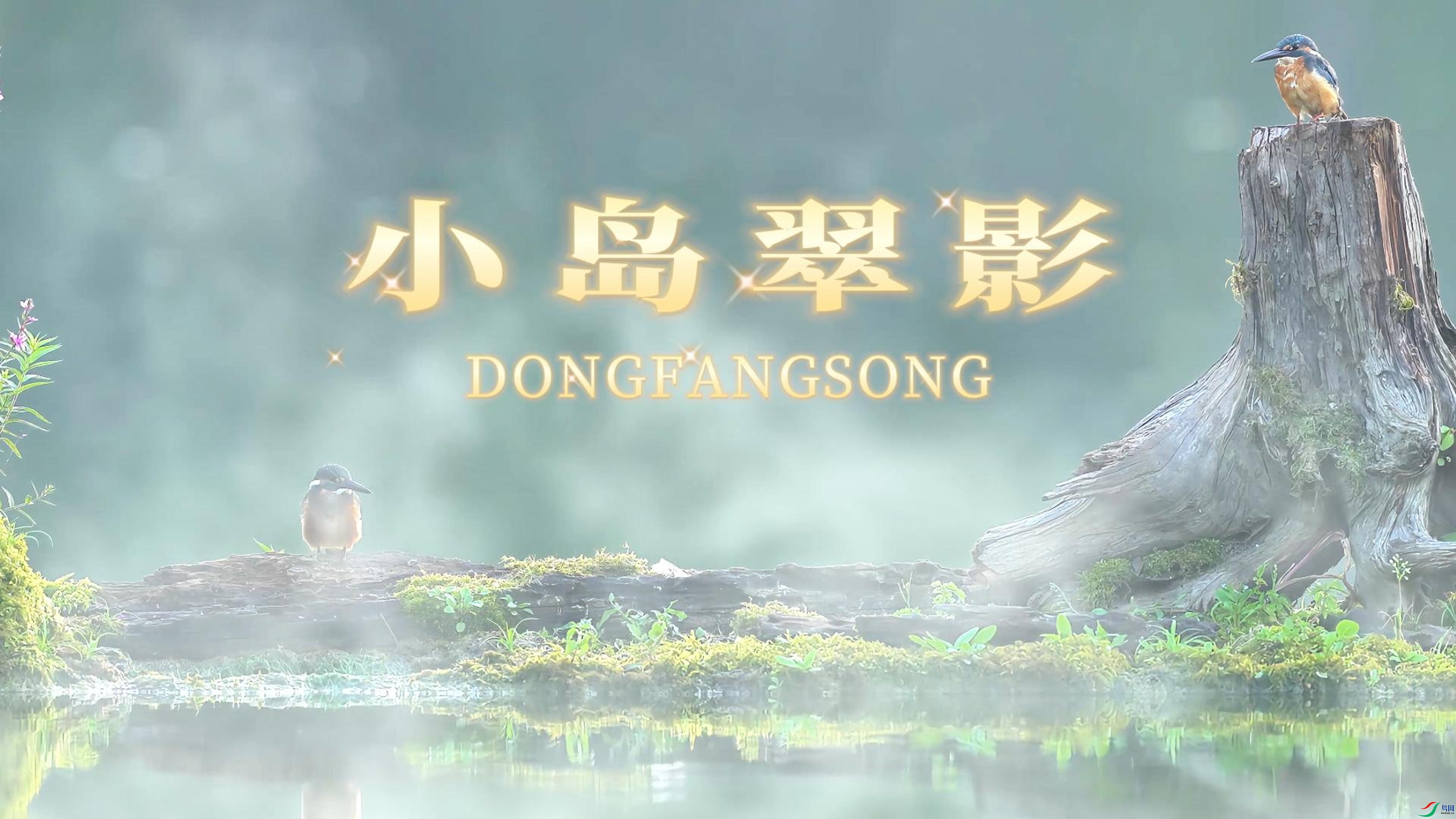 9��9�� (1)-����.jpg