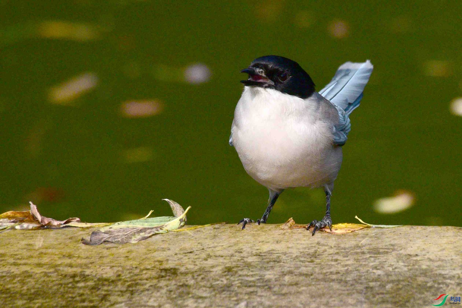 DSC_8921.JPG