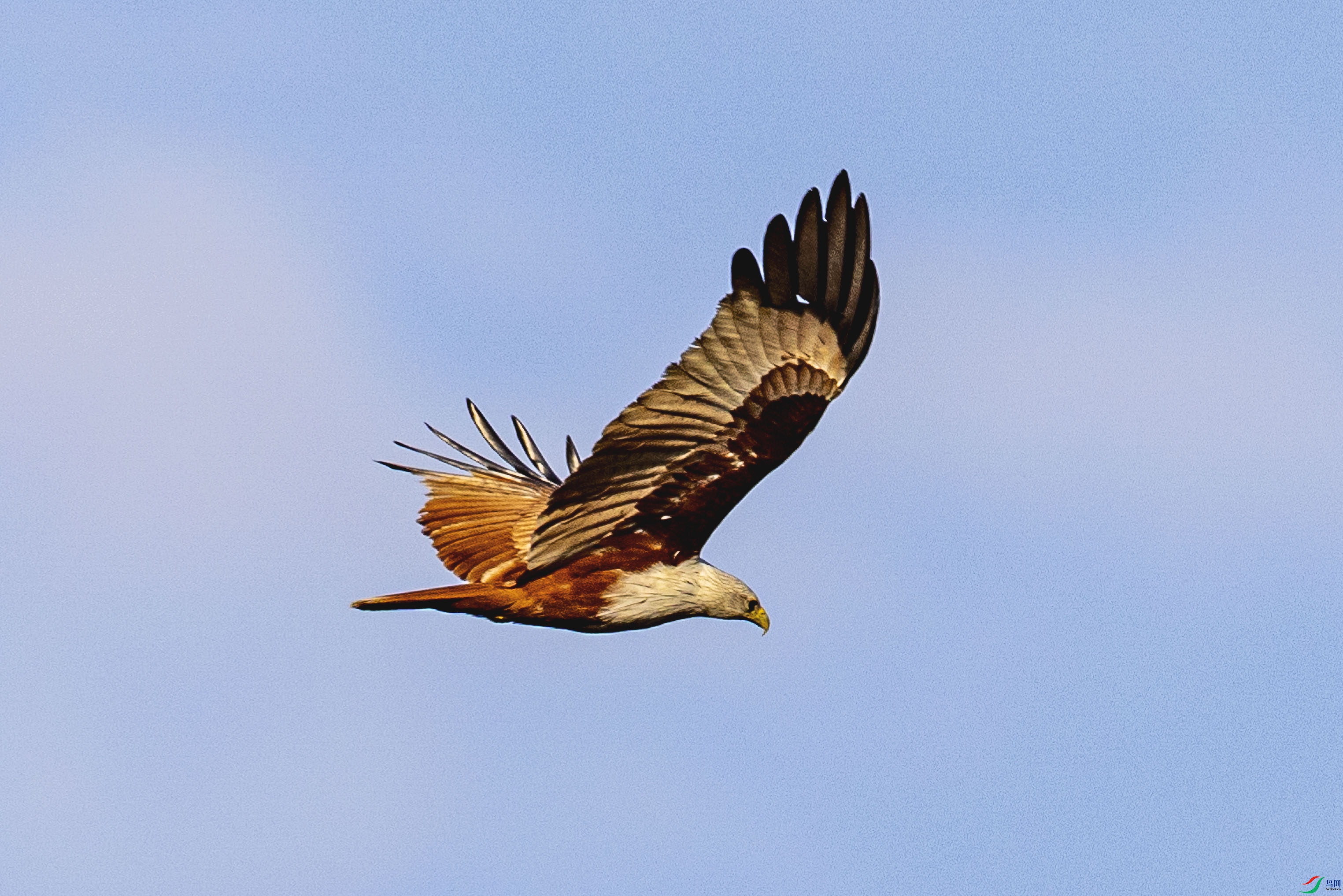 4Z6A5990.jpg