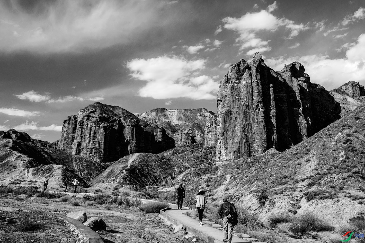 DSC_6884.jpg