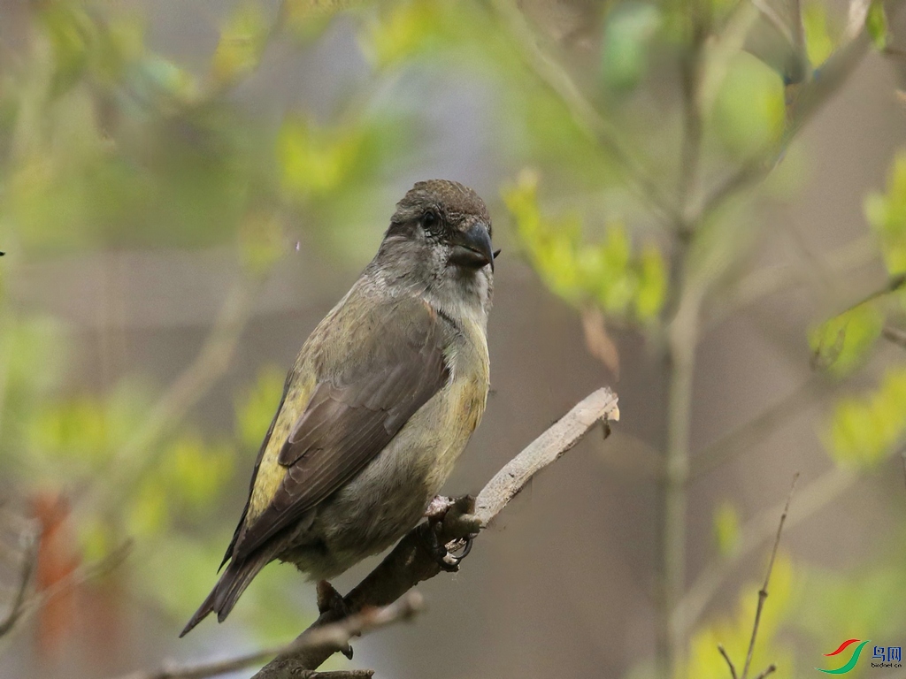 DSC20240411048.jpg