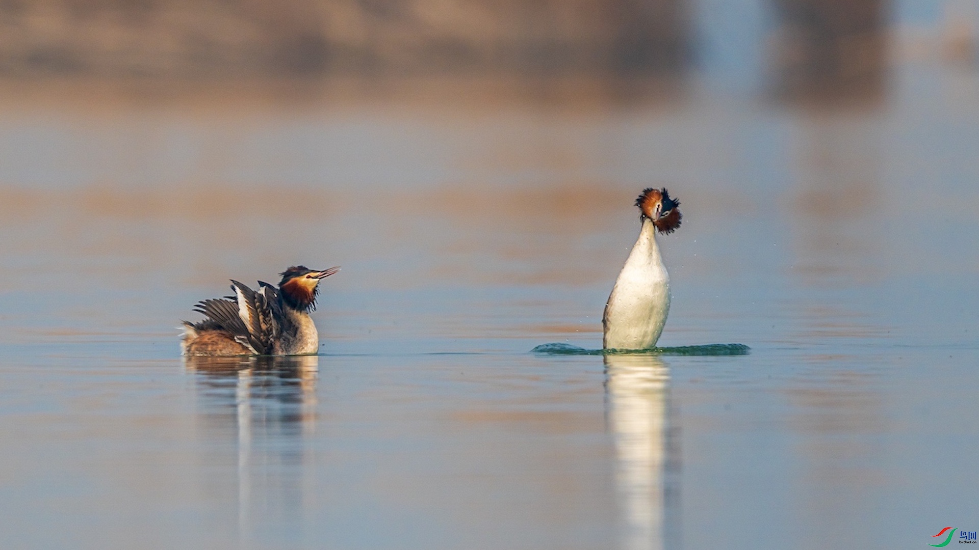 1-6�ĸ���18 ����.jpeg