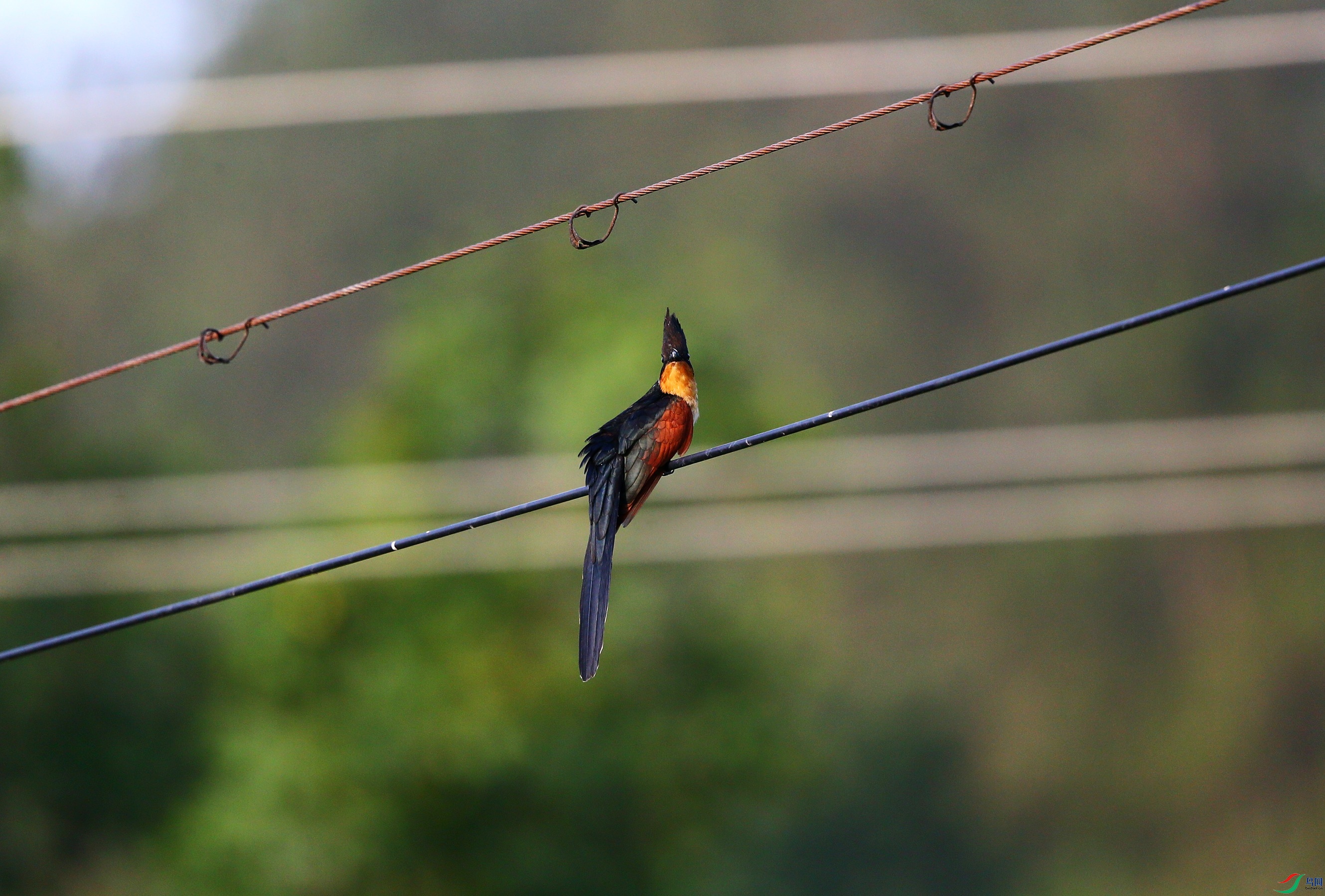 ����ͷ�� (13).JPG