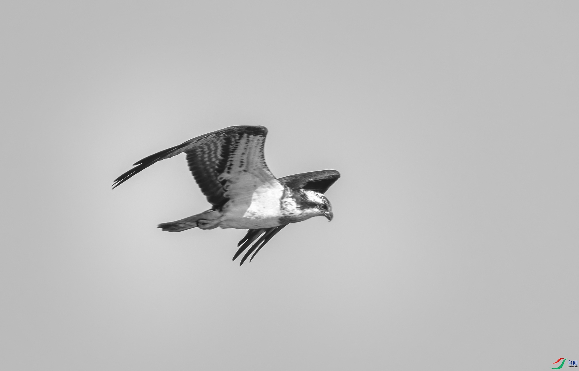 DSC07945 ����.jpg