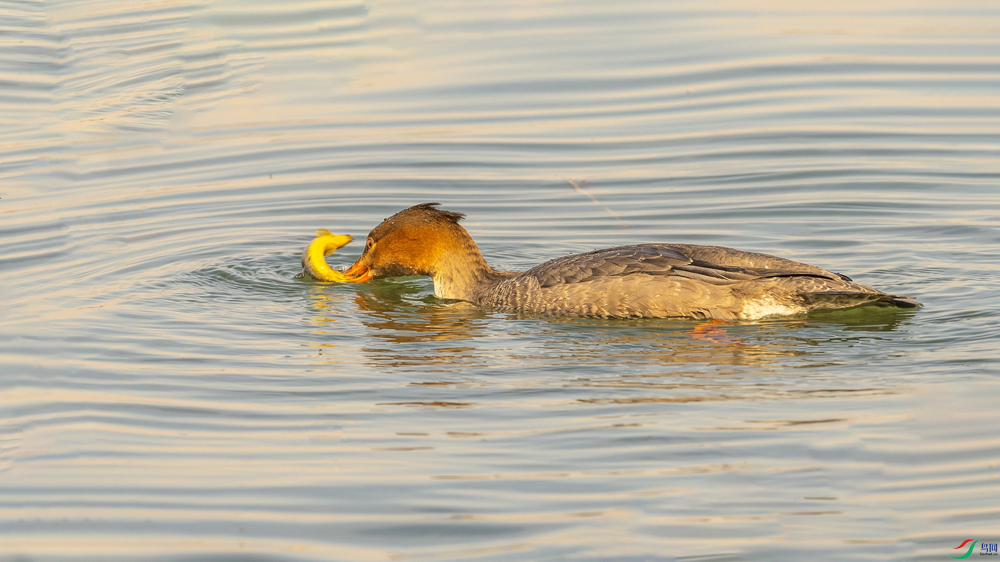 0579 ���� 2.jpg