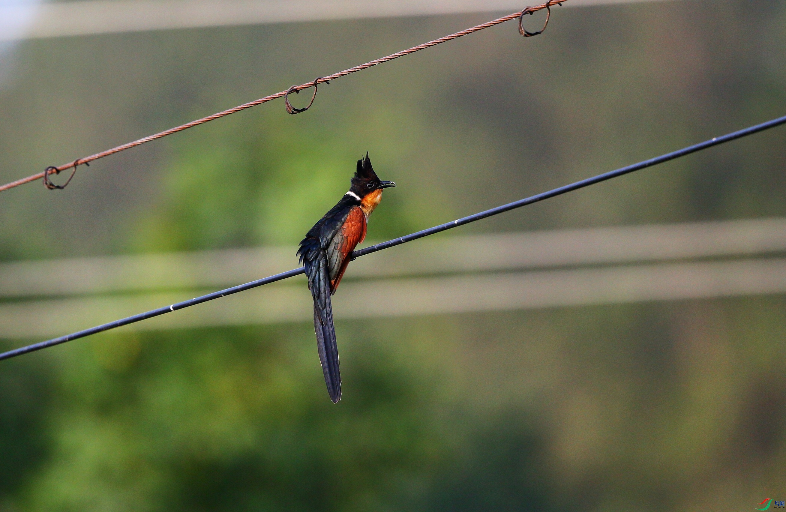 ����ͷ�� (15).JPG