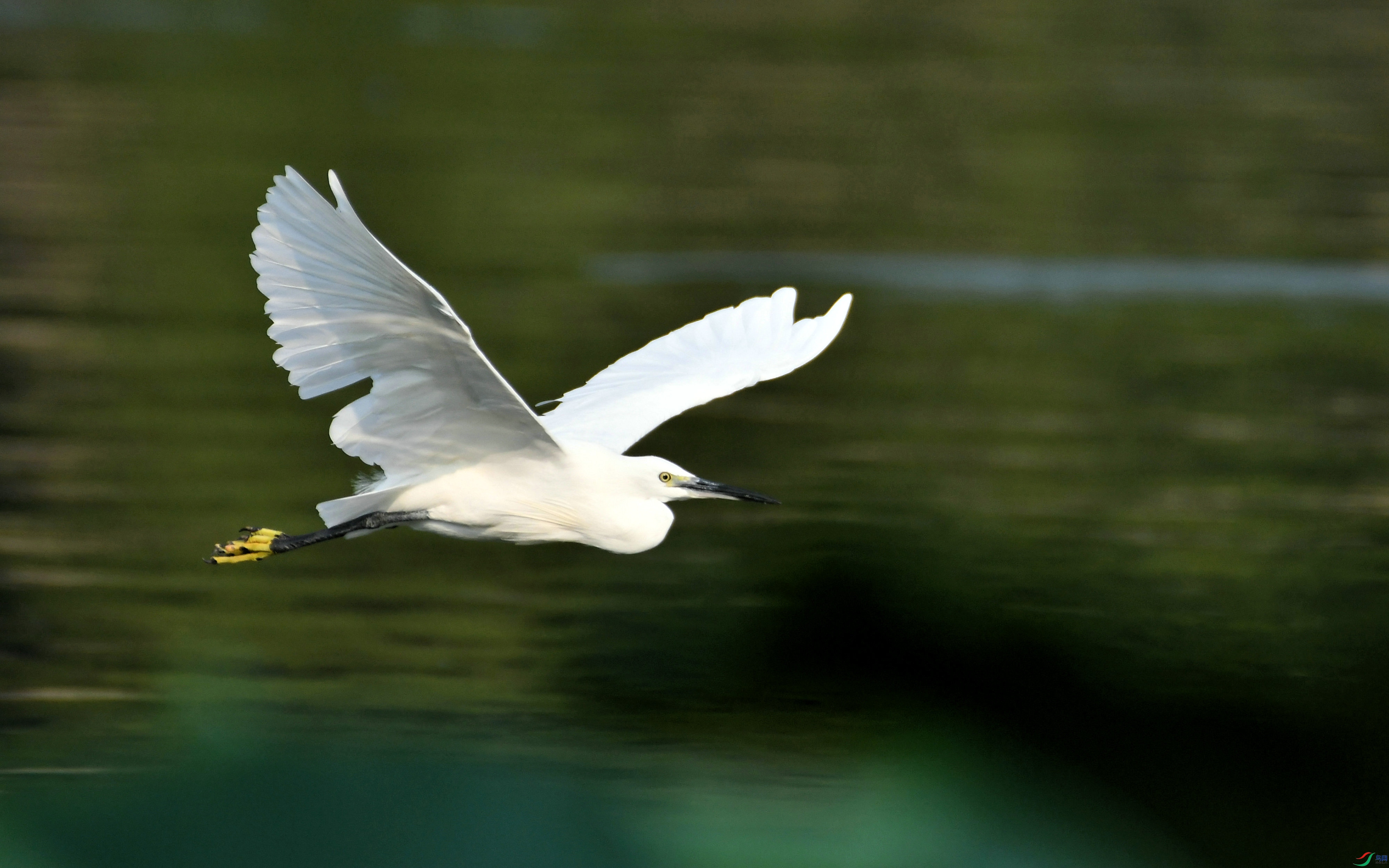 DSC_1571.JPG