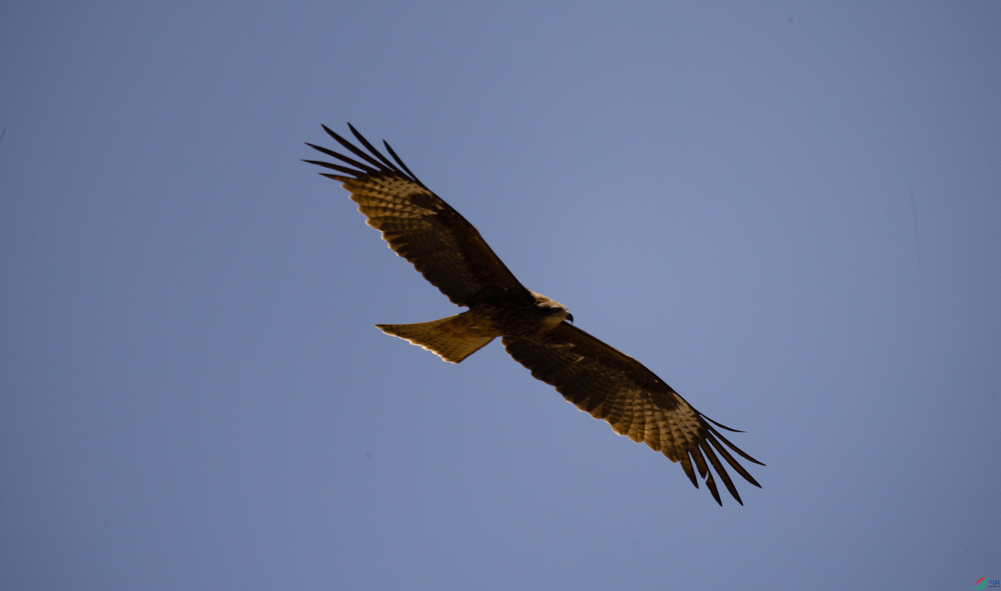 7X5A3688000.jpg
