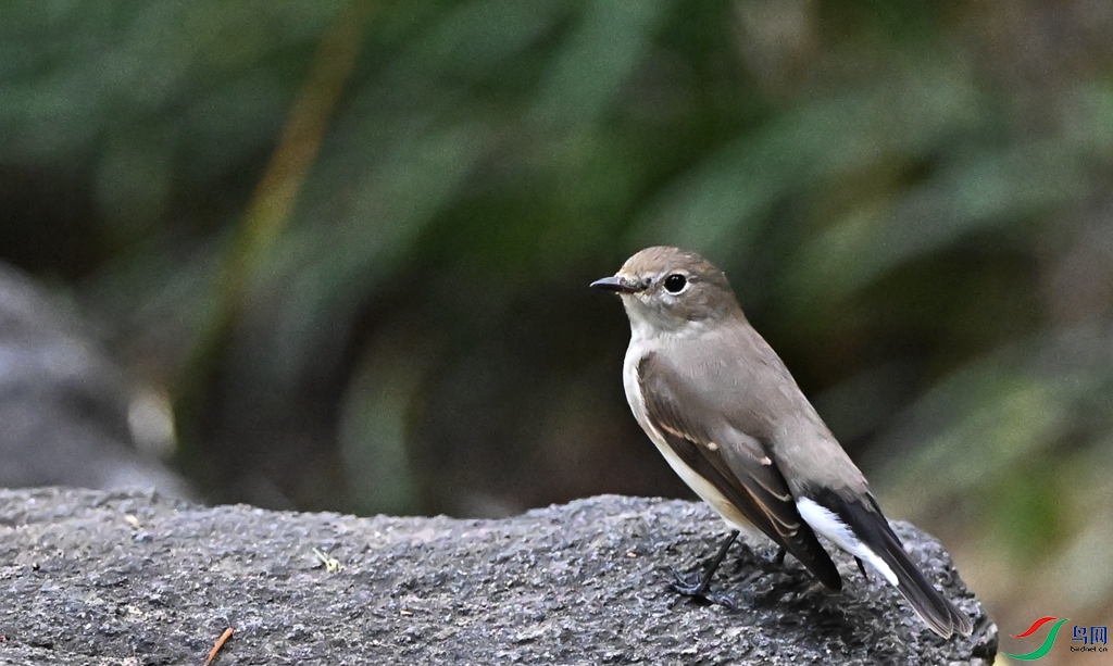 DSC_3374.JPG