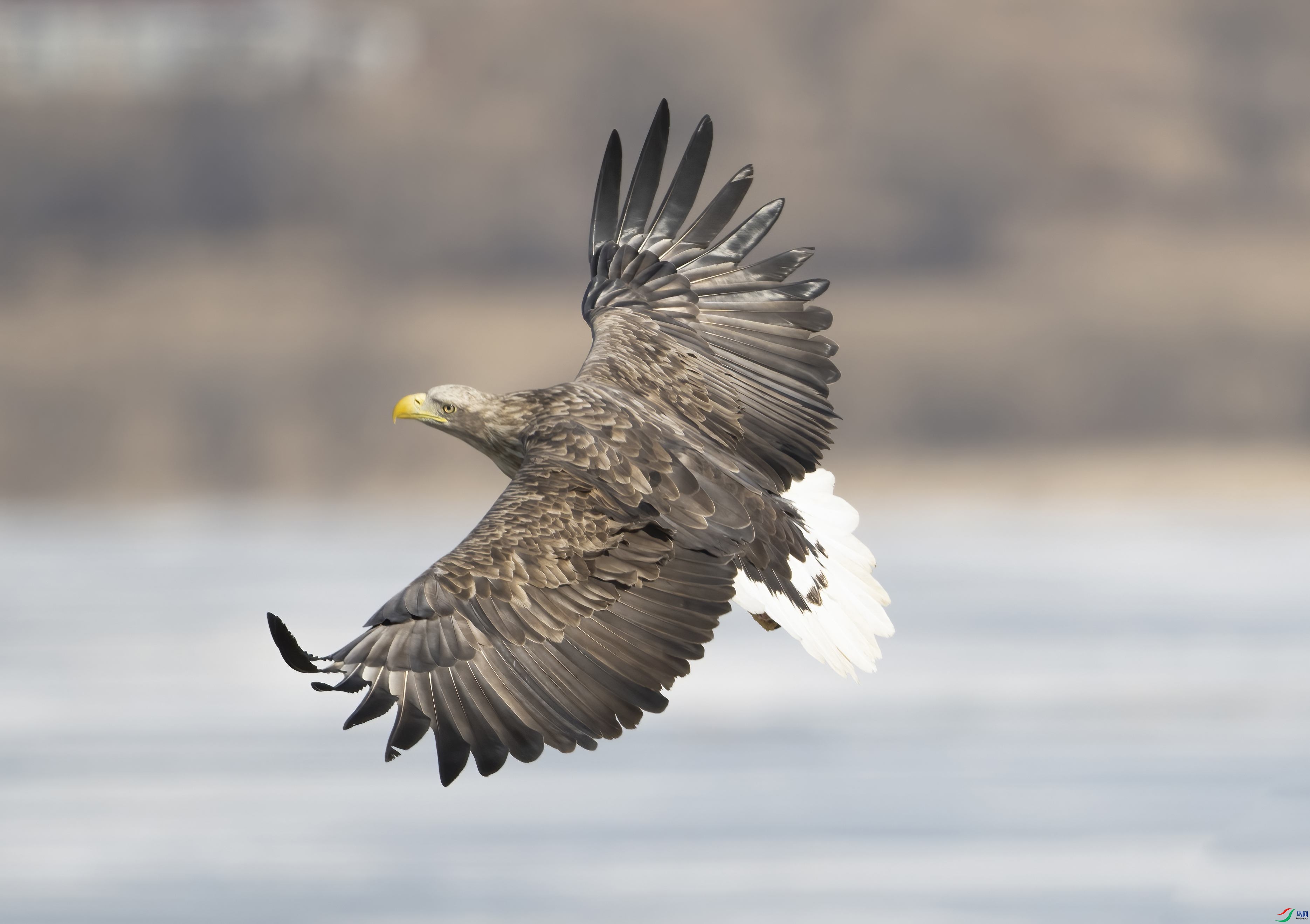 DSC_1678 ����_����.jpg