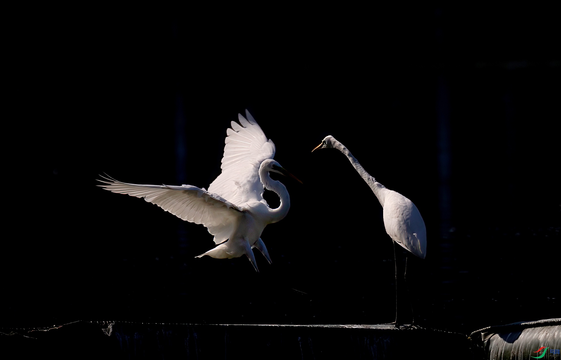 407A4609 ����-Sh----1 .jpg