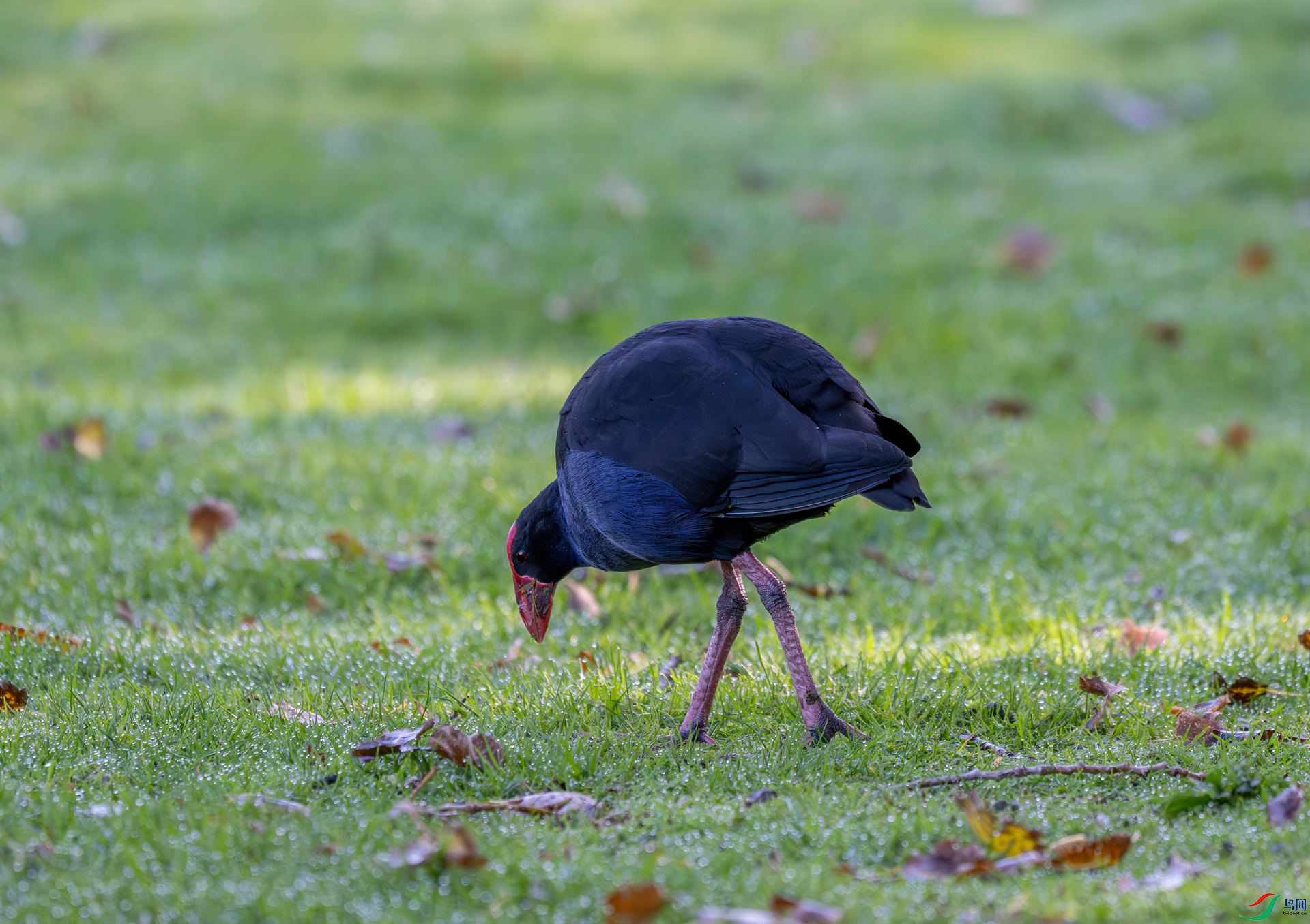 DSC_6275.jpg