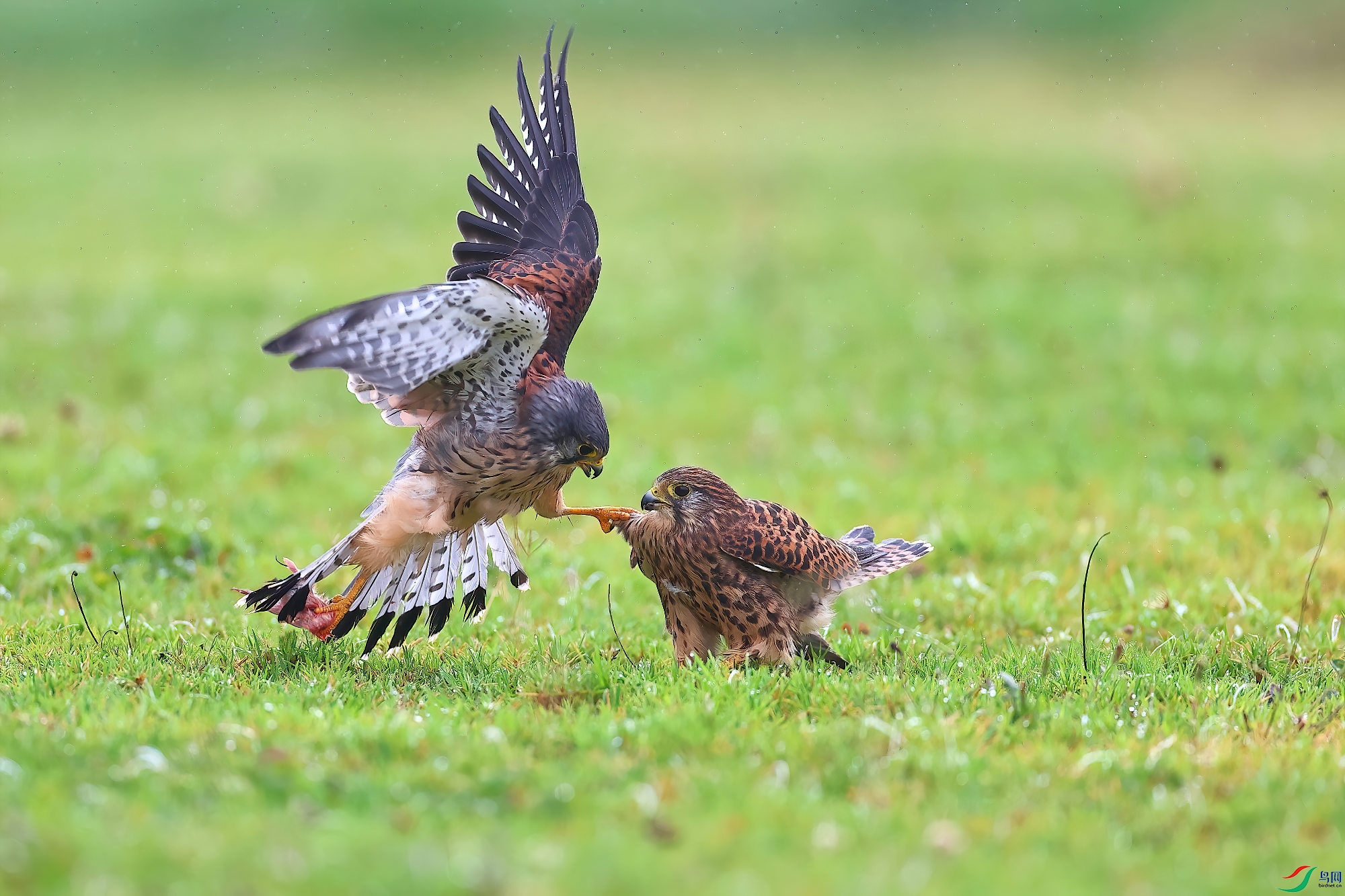 С�ܣ�������