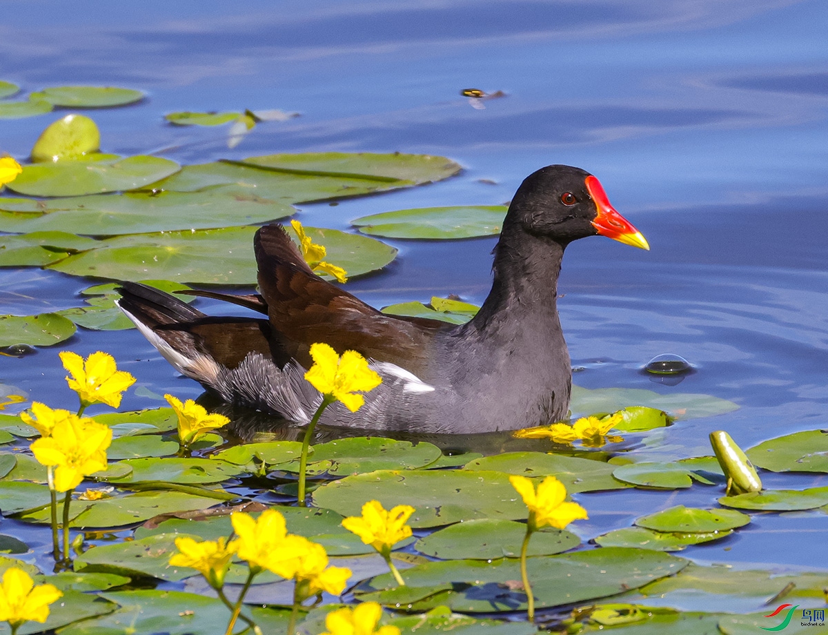 ��ˮ��5.jpg