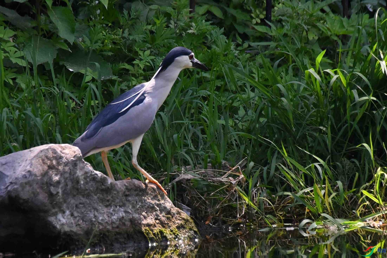 DSC_6380.JPG