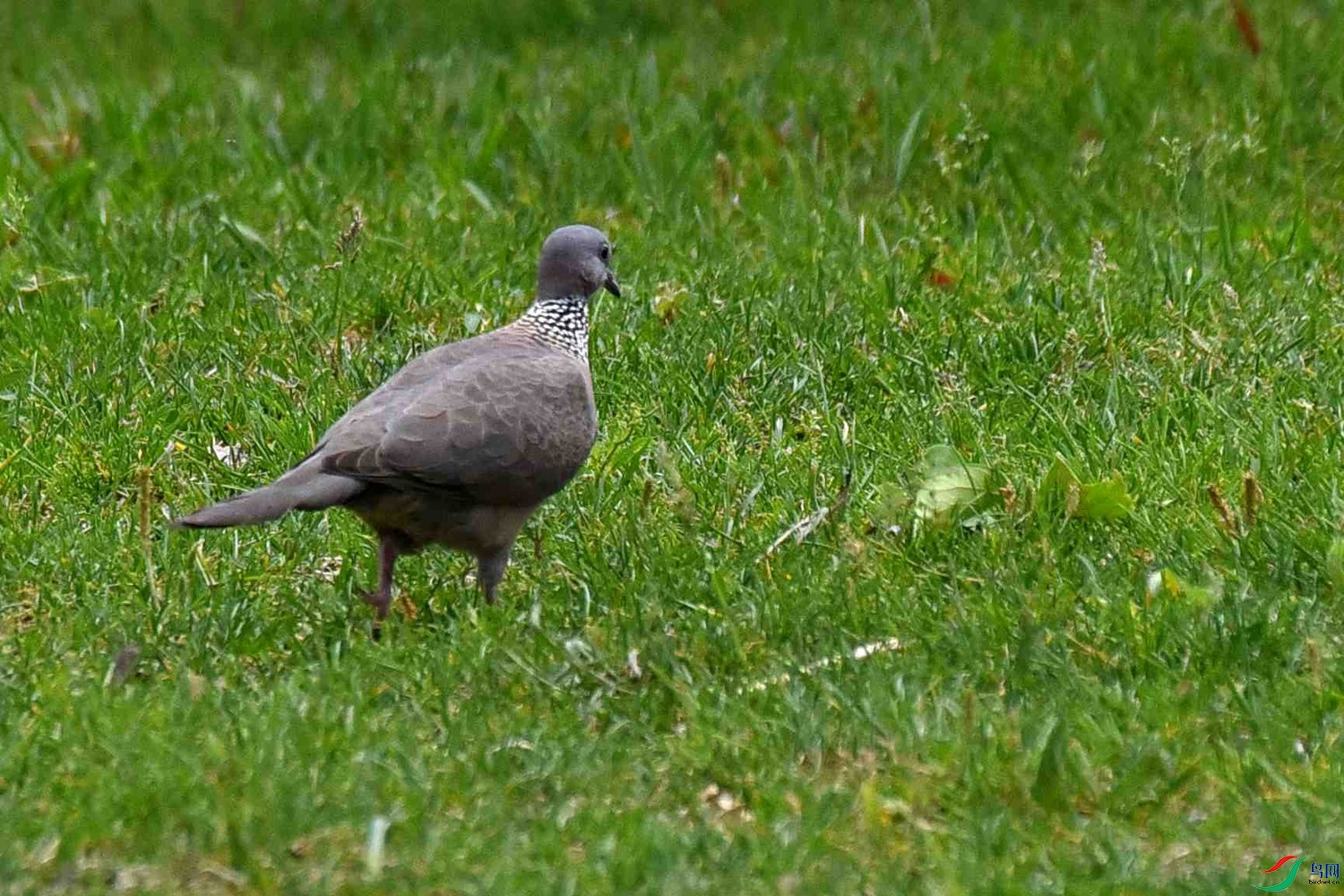 DSC_6899.JPG
