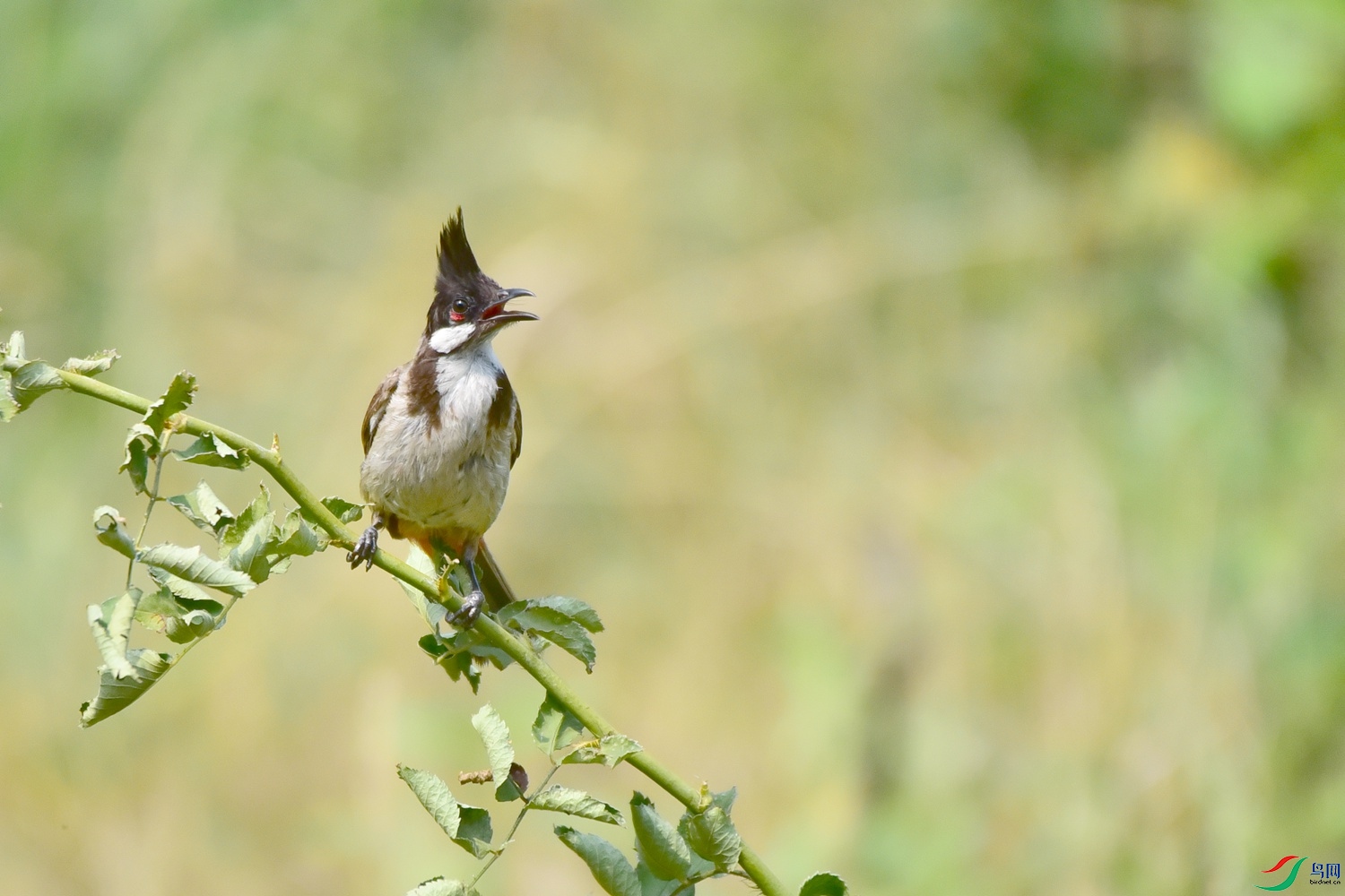 DSC_8276.JPG