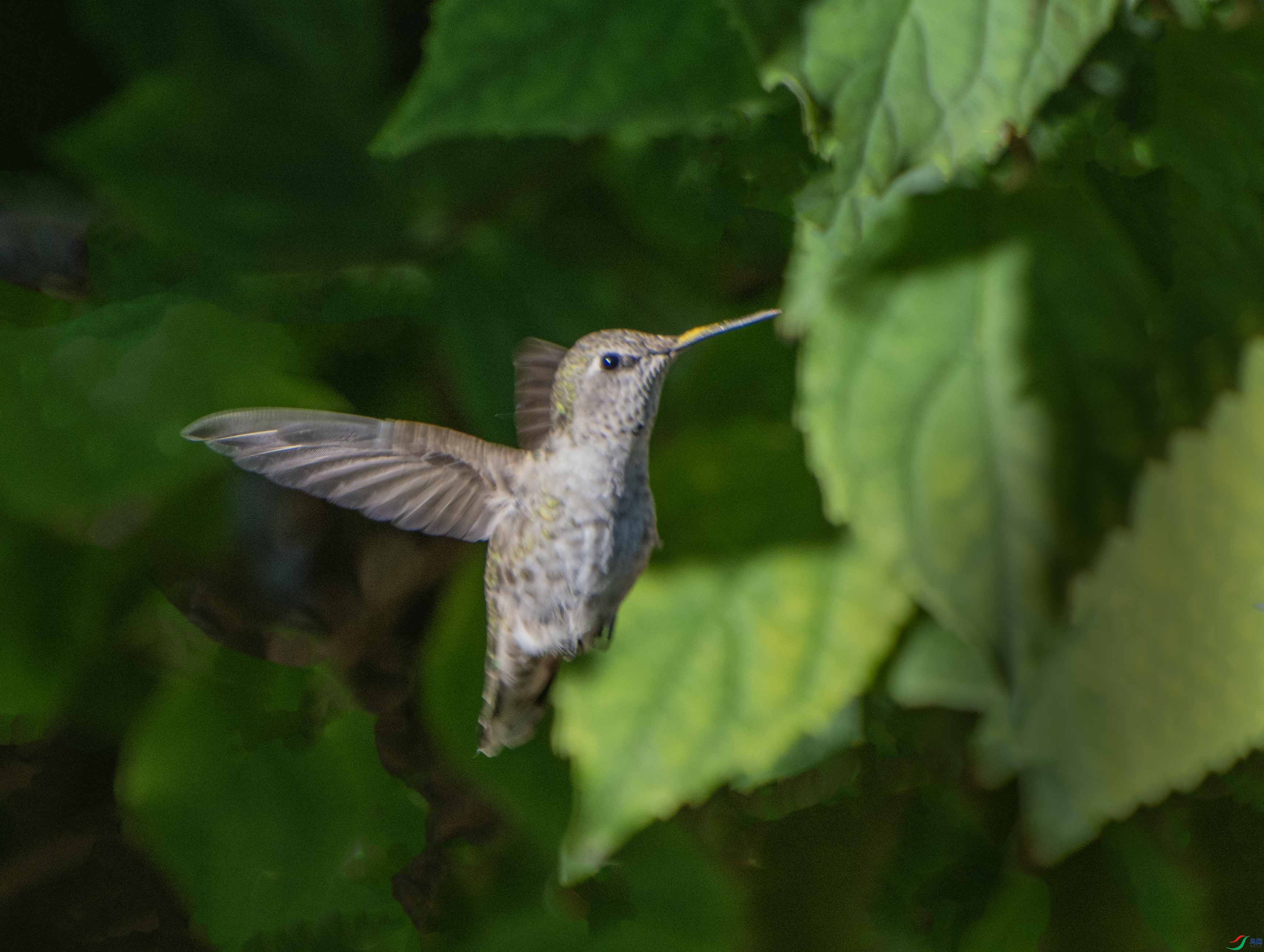 DSC_0863.jpg