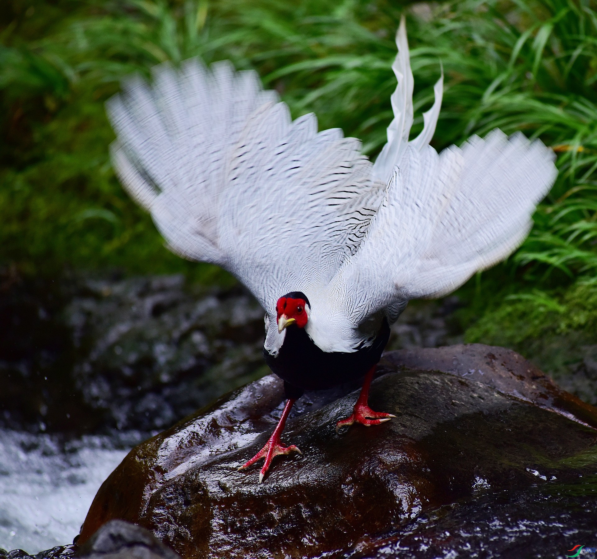 D8I_2742.jpg