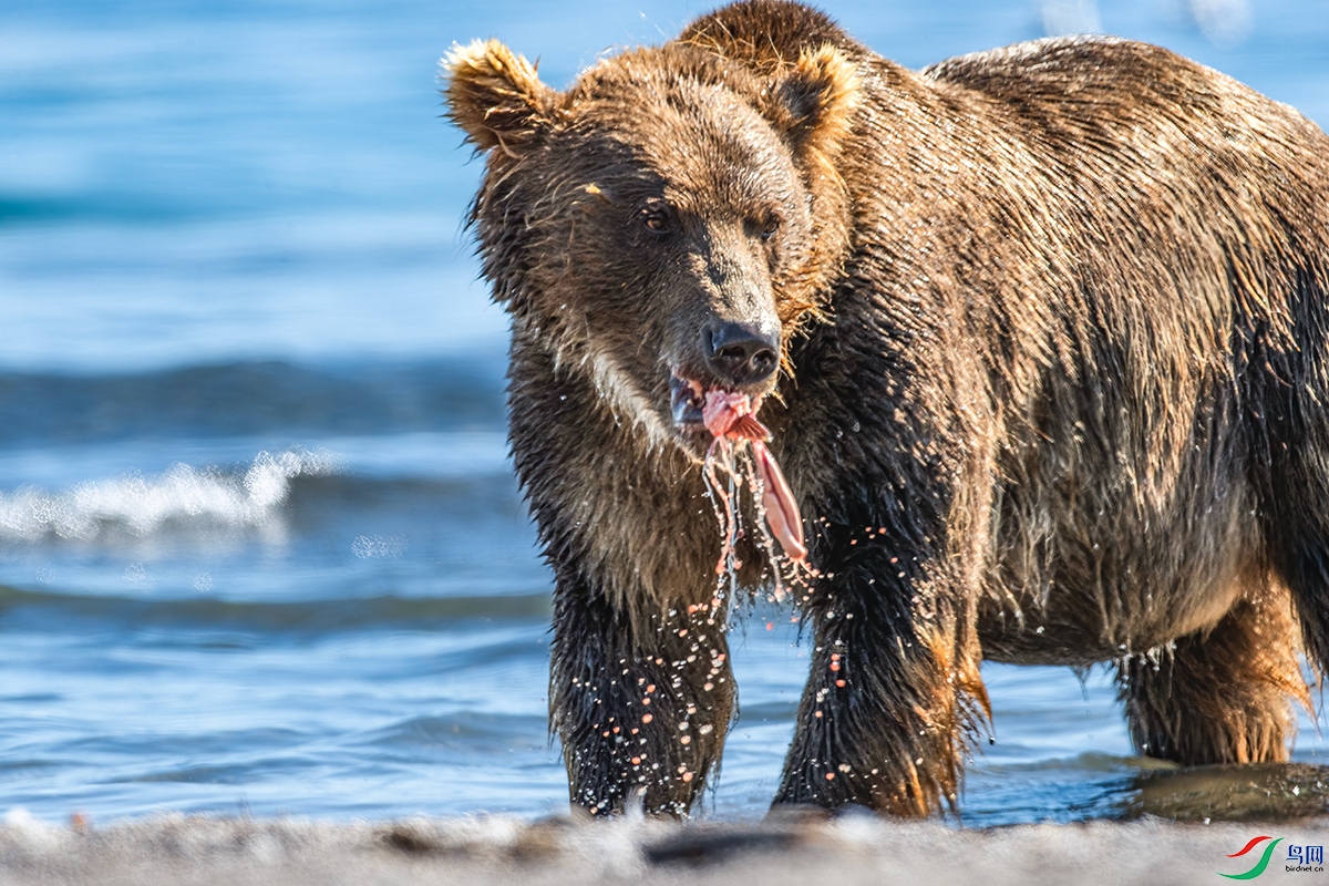 ��������ܾ���ý�