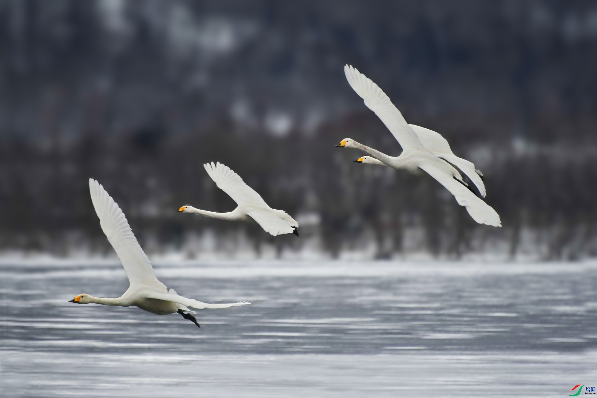 DSC_5107_.jpg
