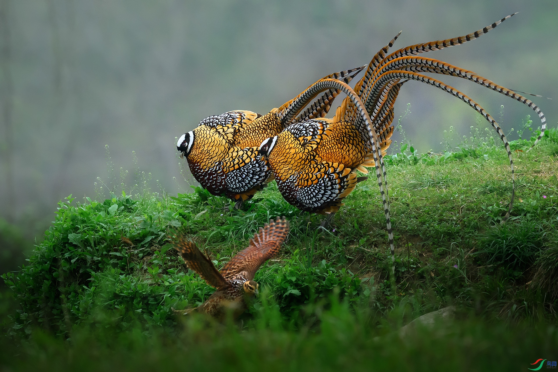 DSC_5402 ���� 2.jpg