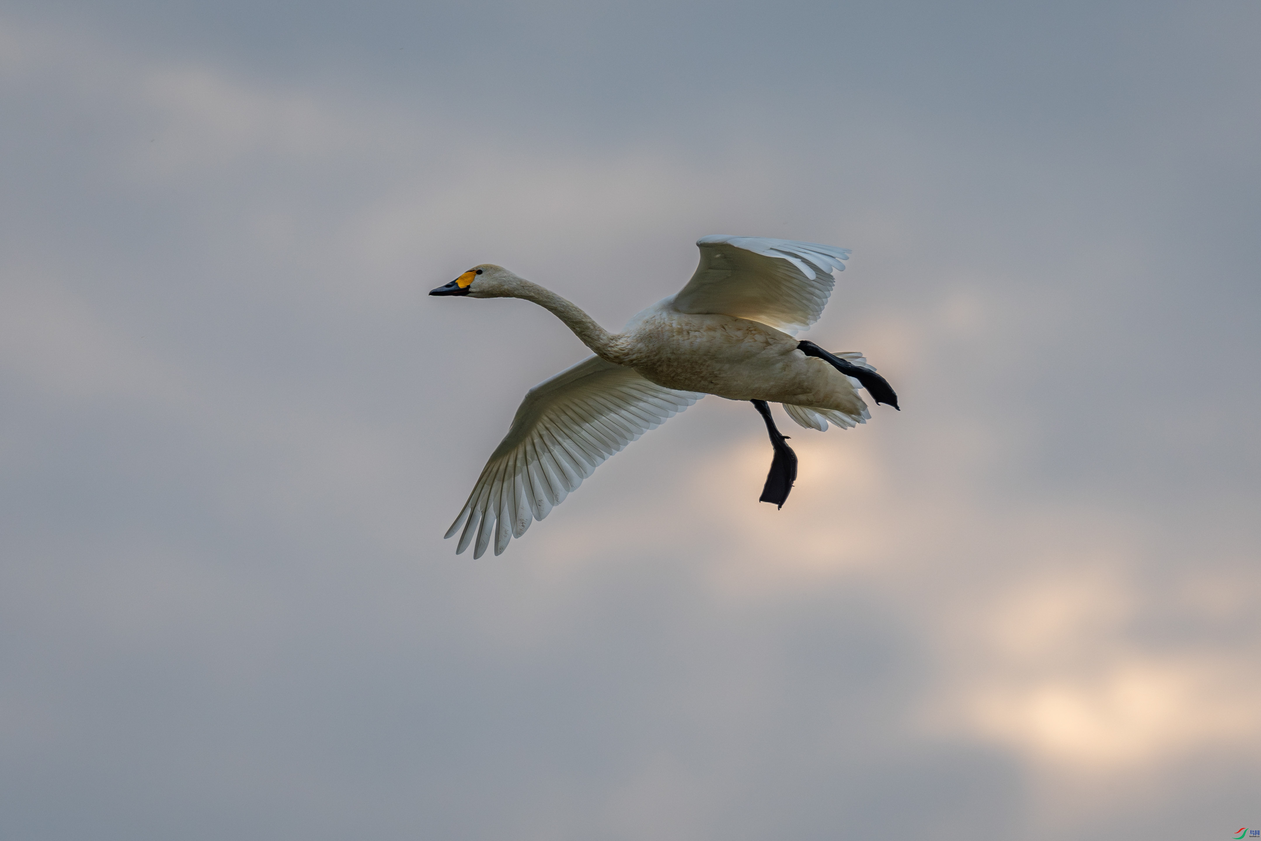 D50_0763_1.jpg