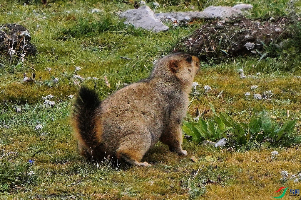 DSC05251_����.jpg