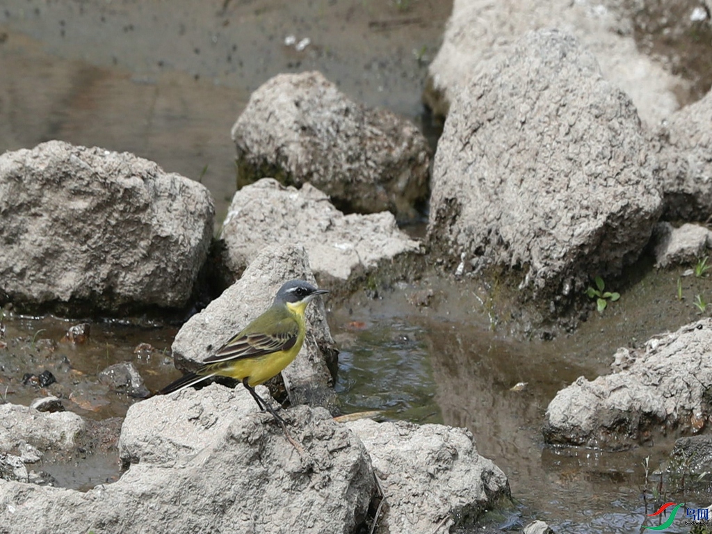 DSC20240504009.jpg