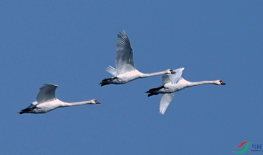 DSC05316.JPG
