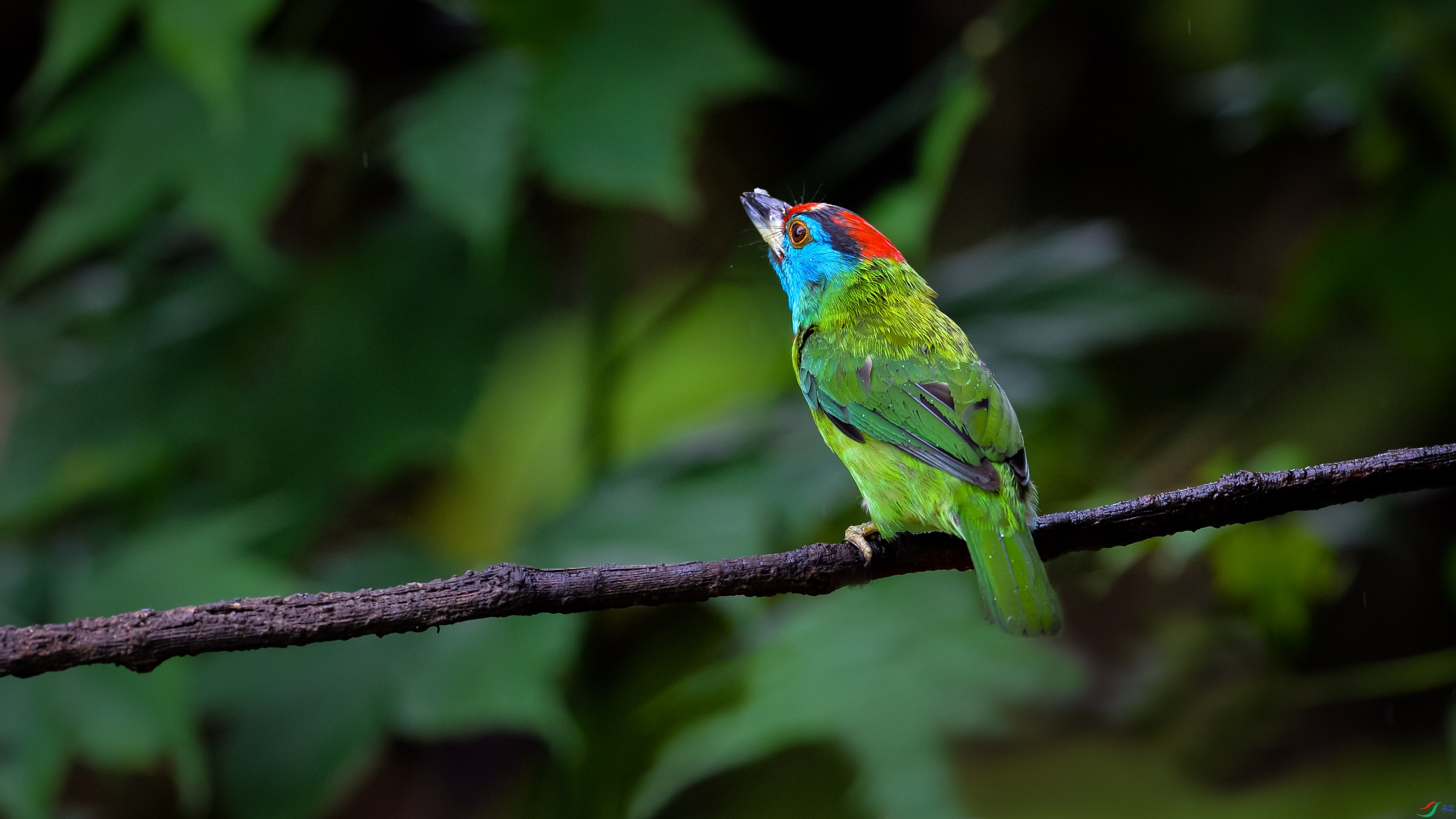 DSC_2262.jpg