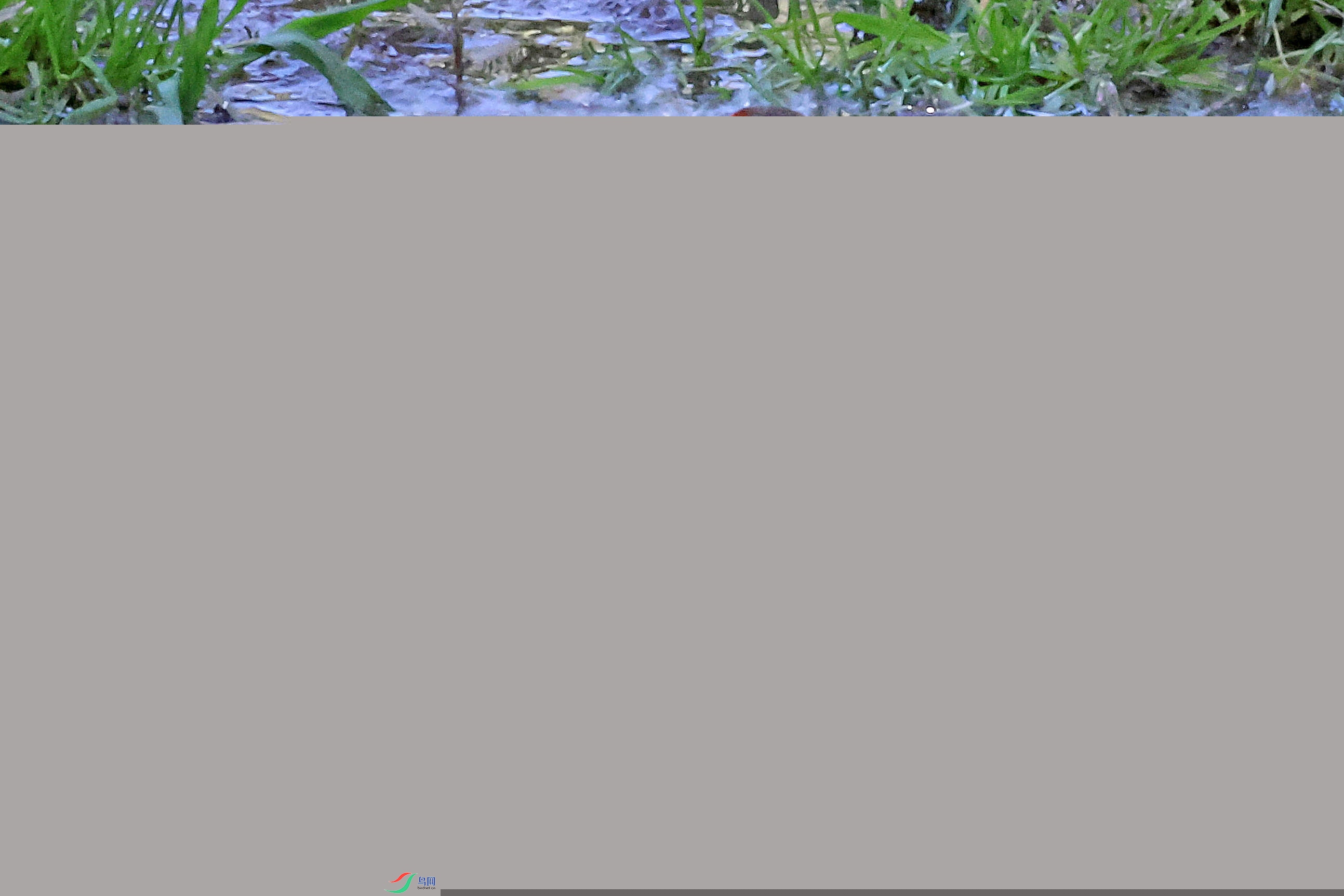 2G9A1124���˿ȸ.JPG