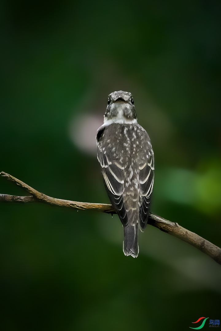 _DSC4546-0.jpg