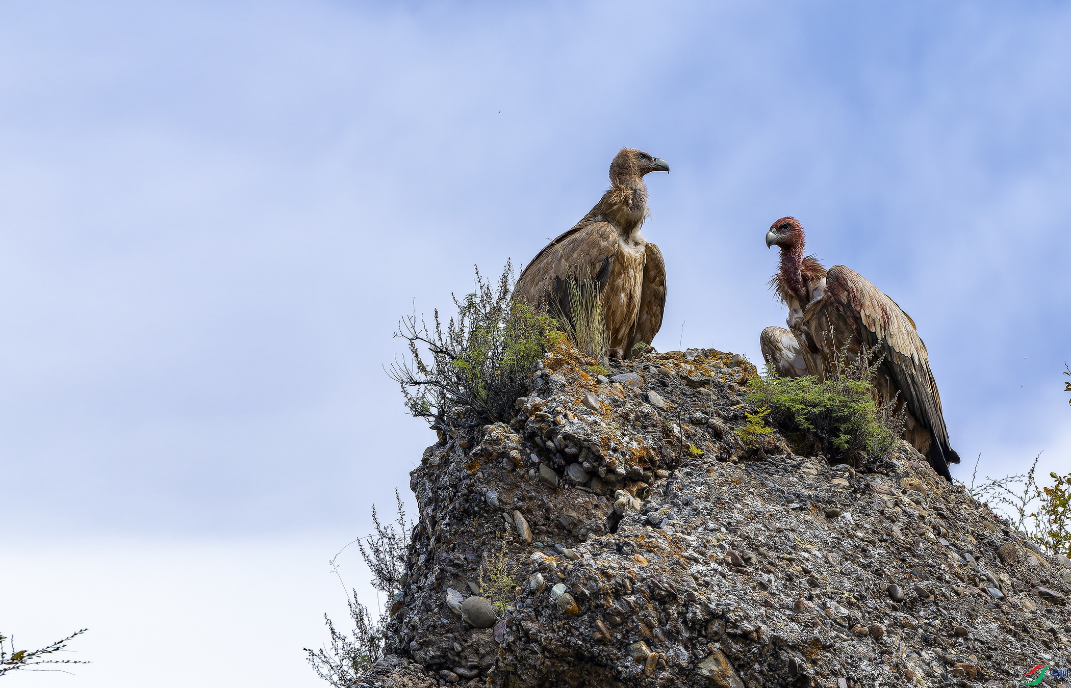 ��ɽأ�գ�2023�� (671)-1.jpg