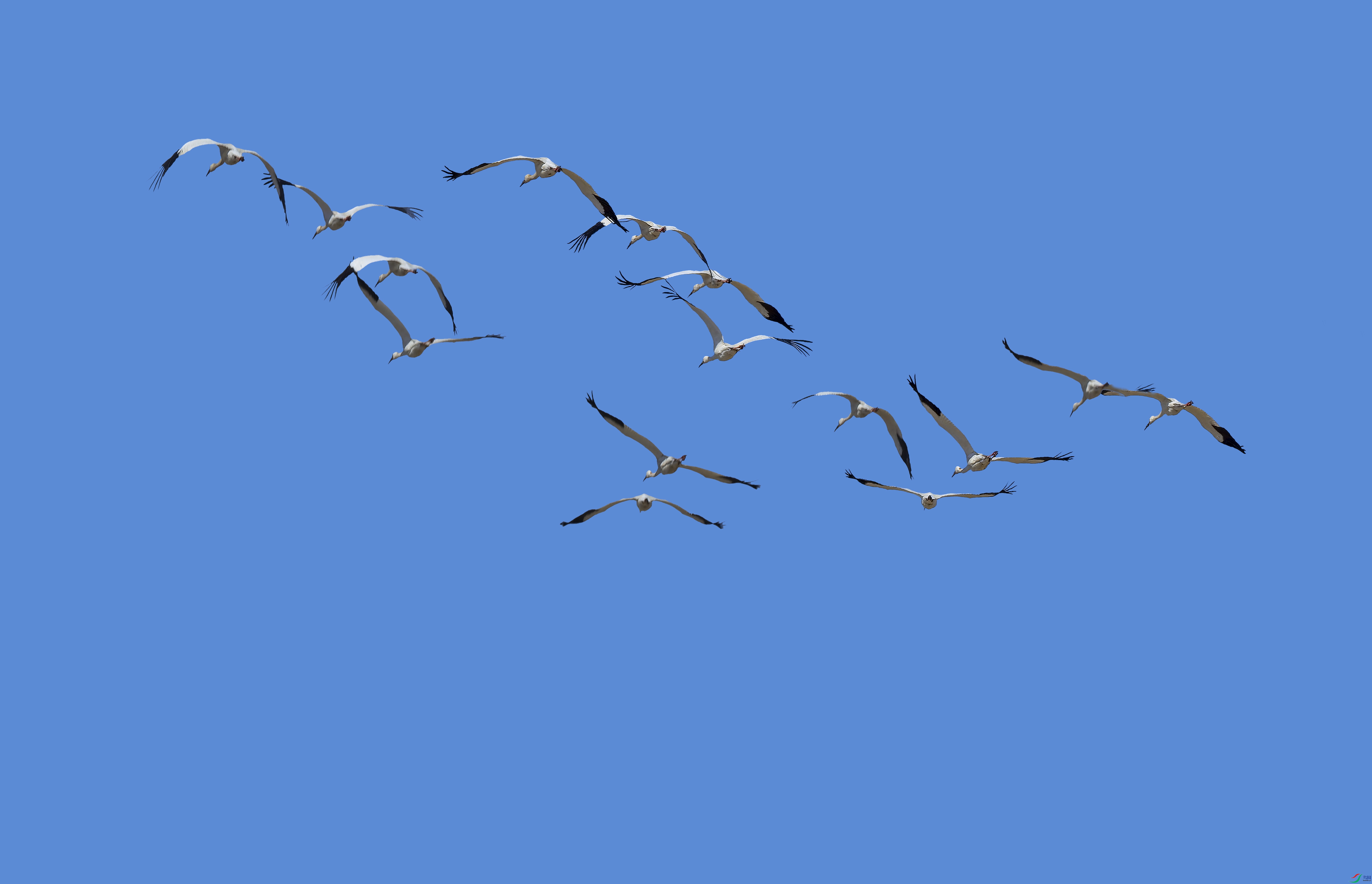 �׺�-2 (346)-.jpg