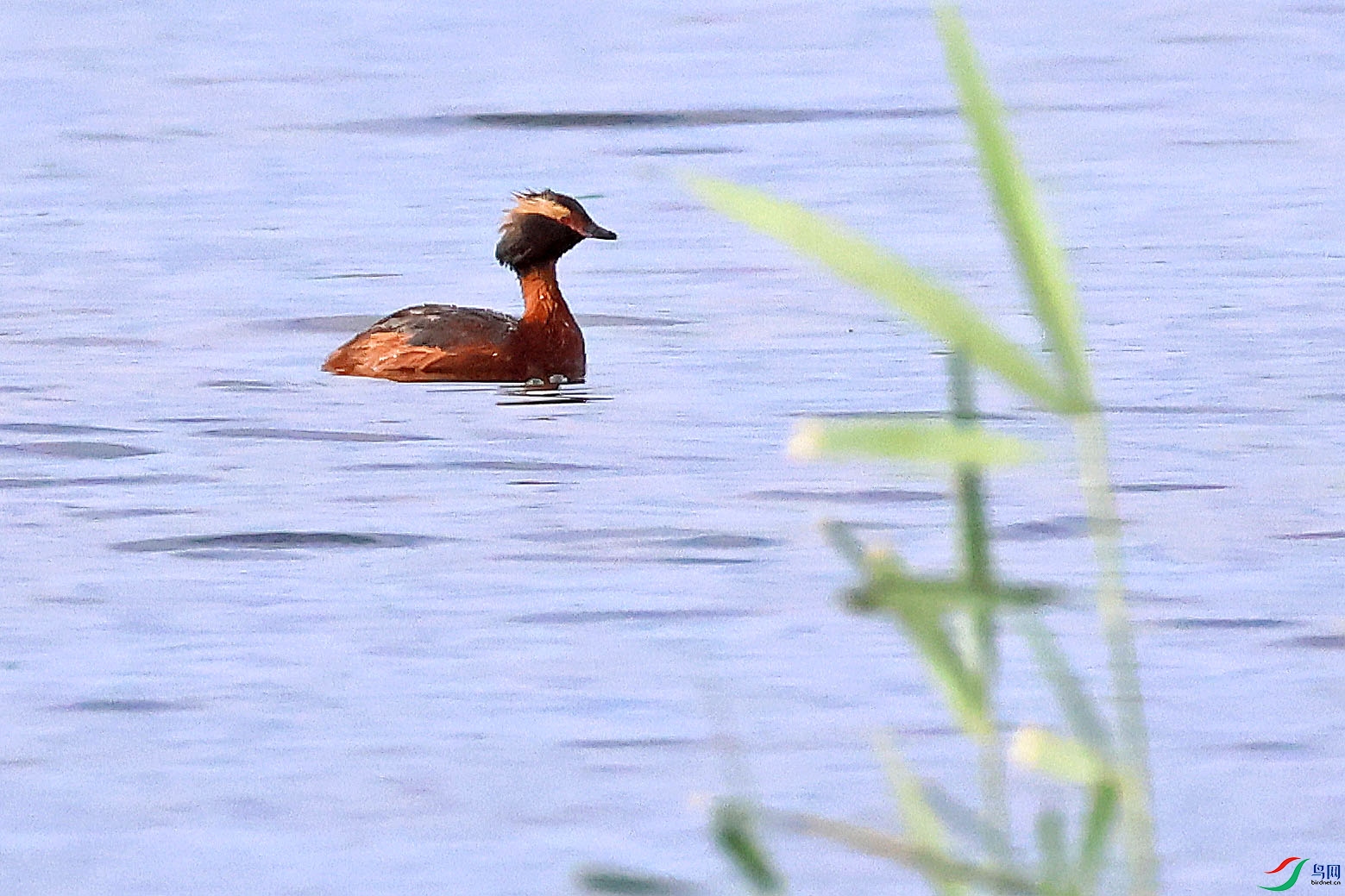 ���G�f2��