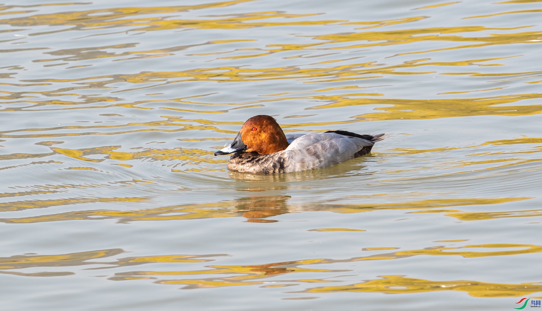 DSC_9148.jpg