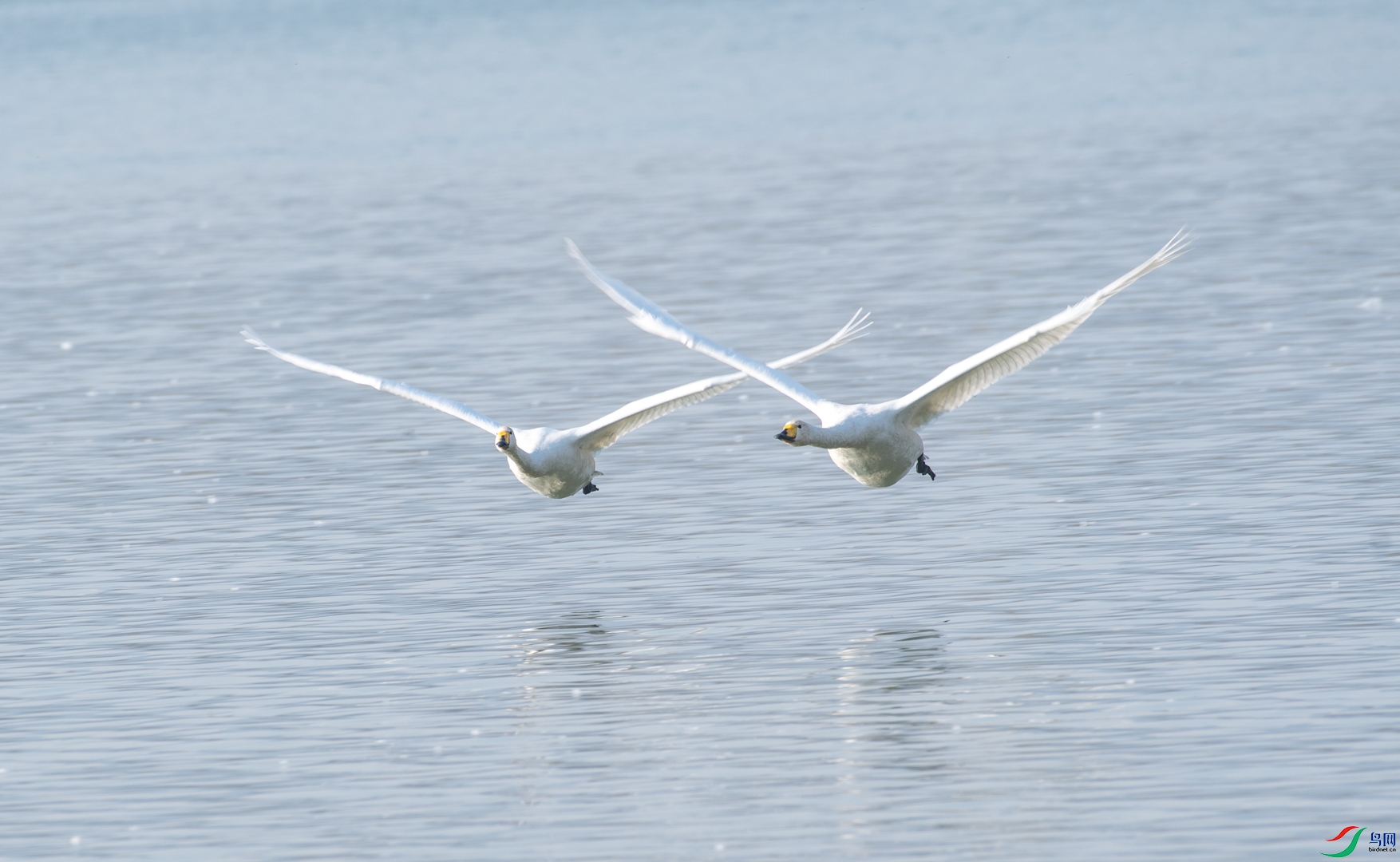 DSC_9192.jpg