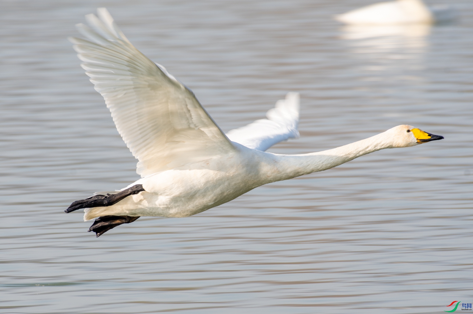 DSC_9216.jpg