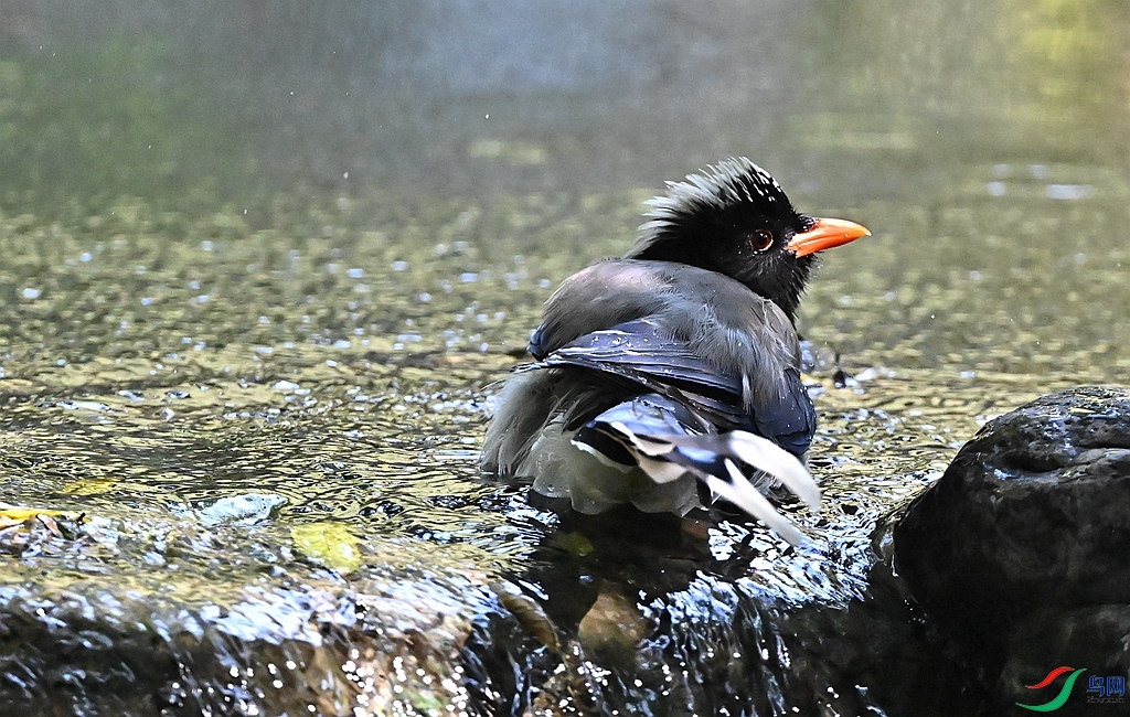DSC_9061.JPG