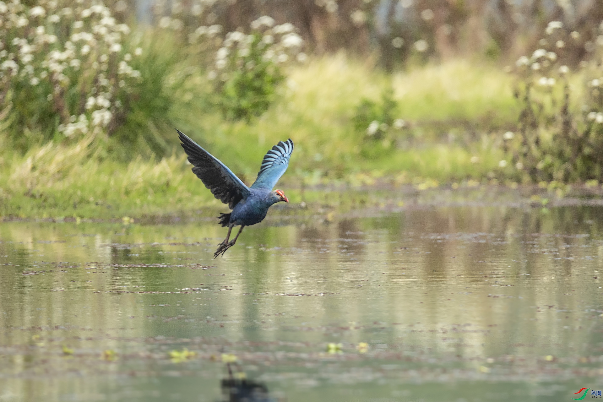 DSC_7568.jpg