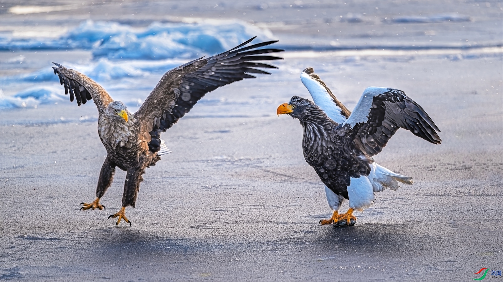 �������2��