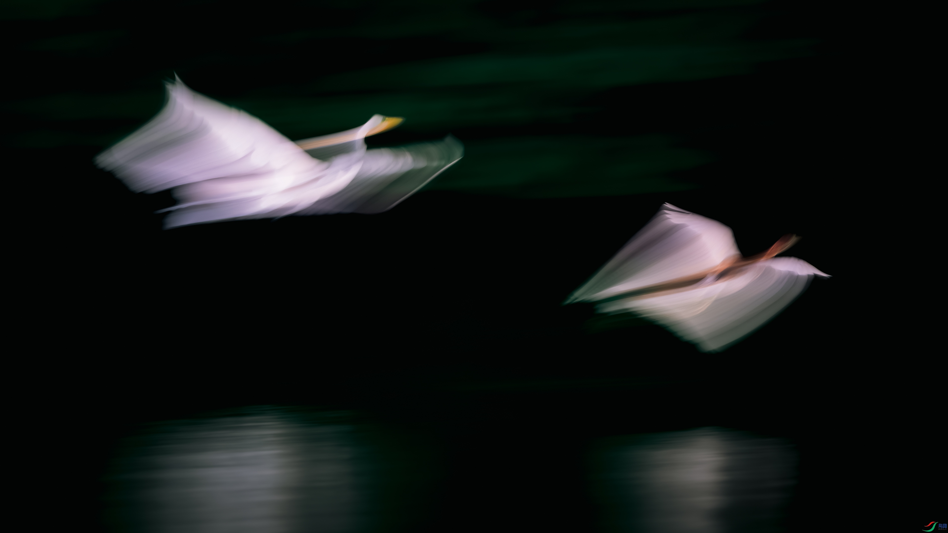 DSC_8637-����ǿ-NR ����.jpg