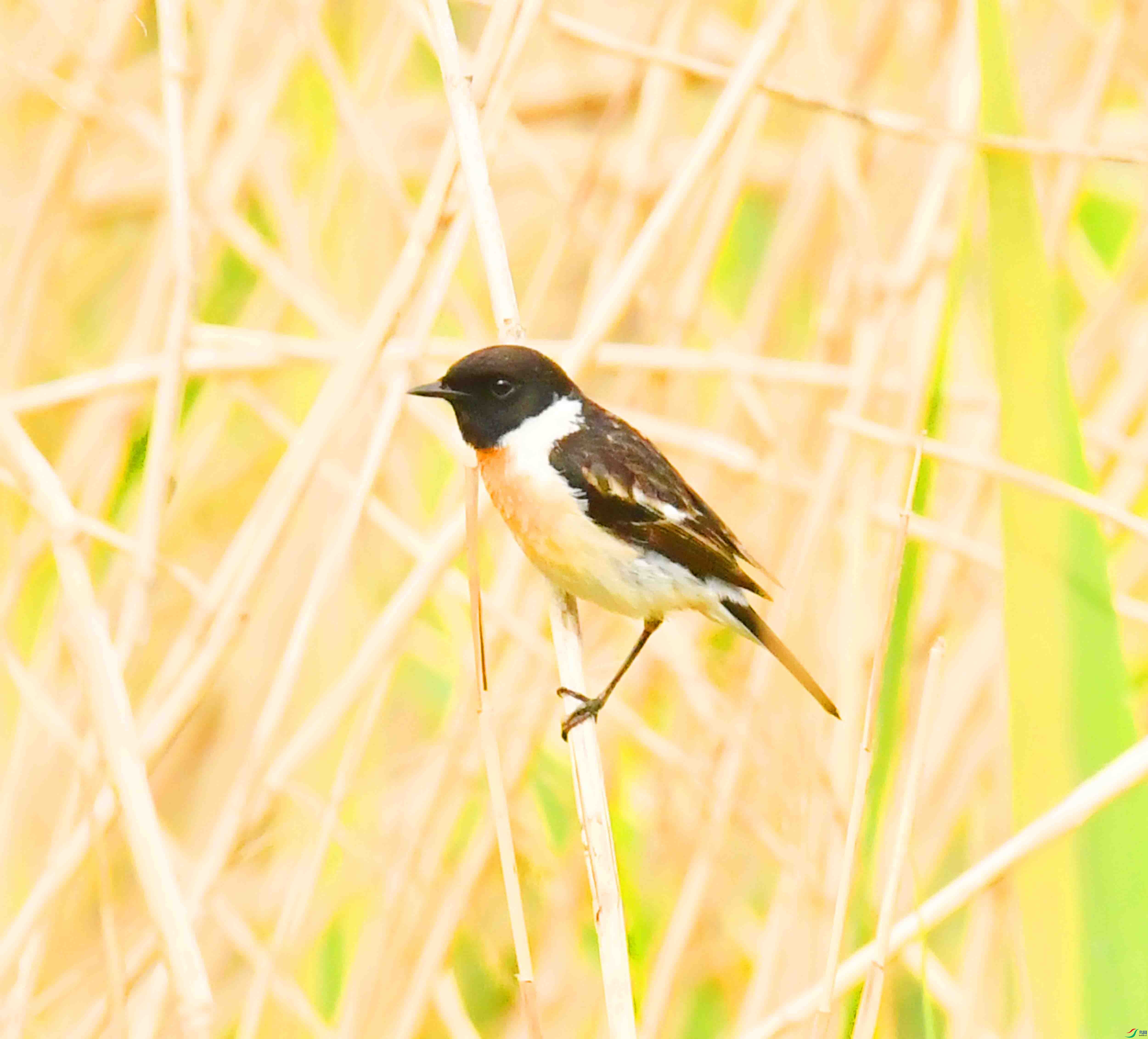 DSC_3691.JPG