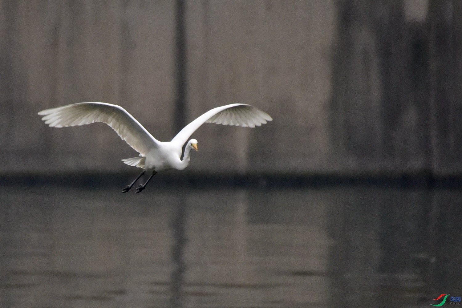 DSC_7154.JPG
