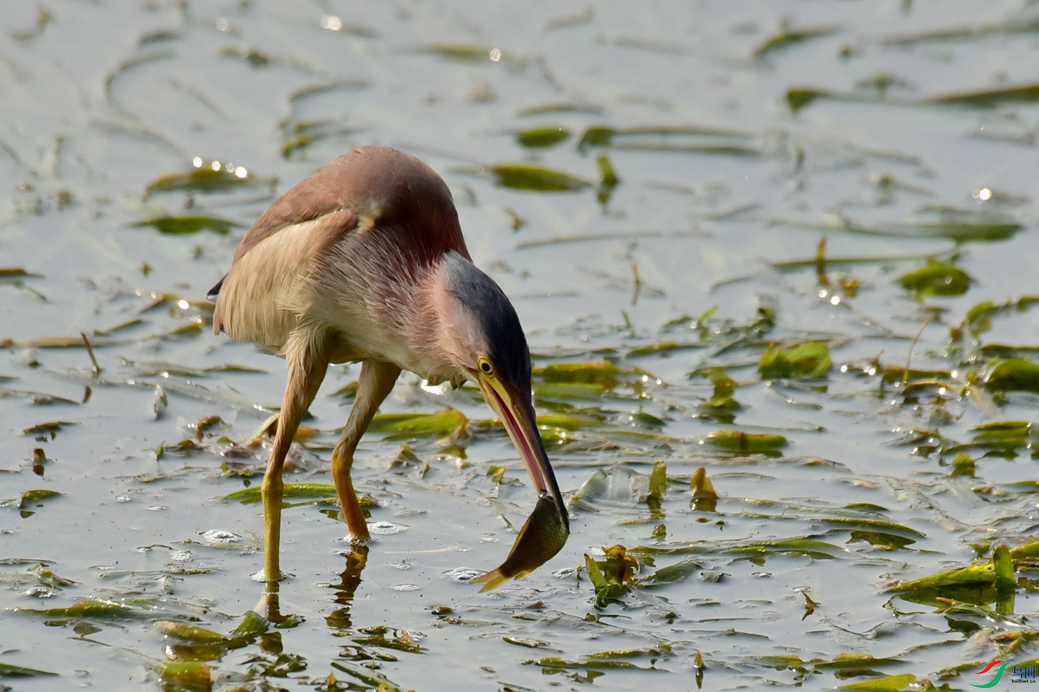 DSC_8853.JPG