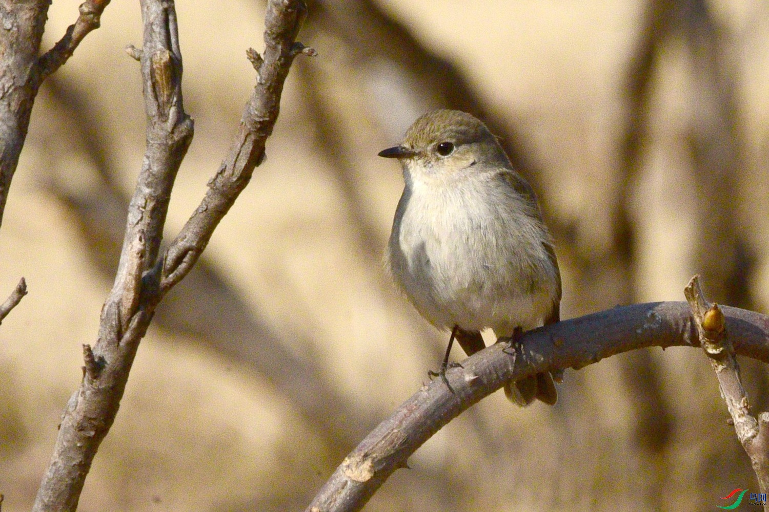 DSC_1812.JPG
