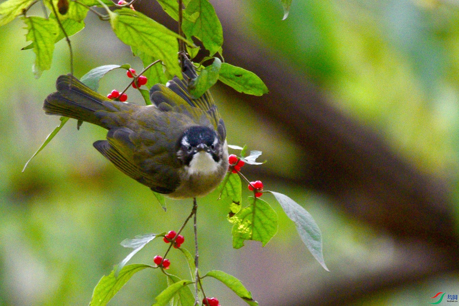 DSC_6101.JPG